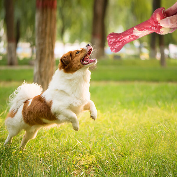 Pet Toy Bone Dog Molar Stick Bite Resistant Large Dog Molar Rubber Dog Chew Toy - Image 3
